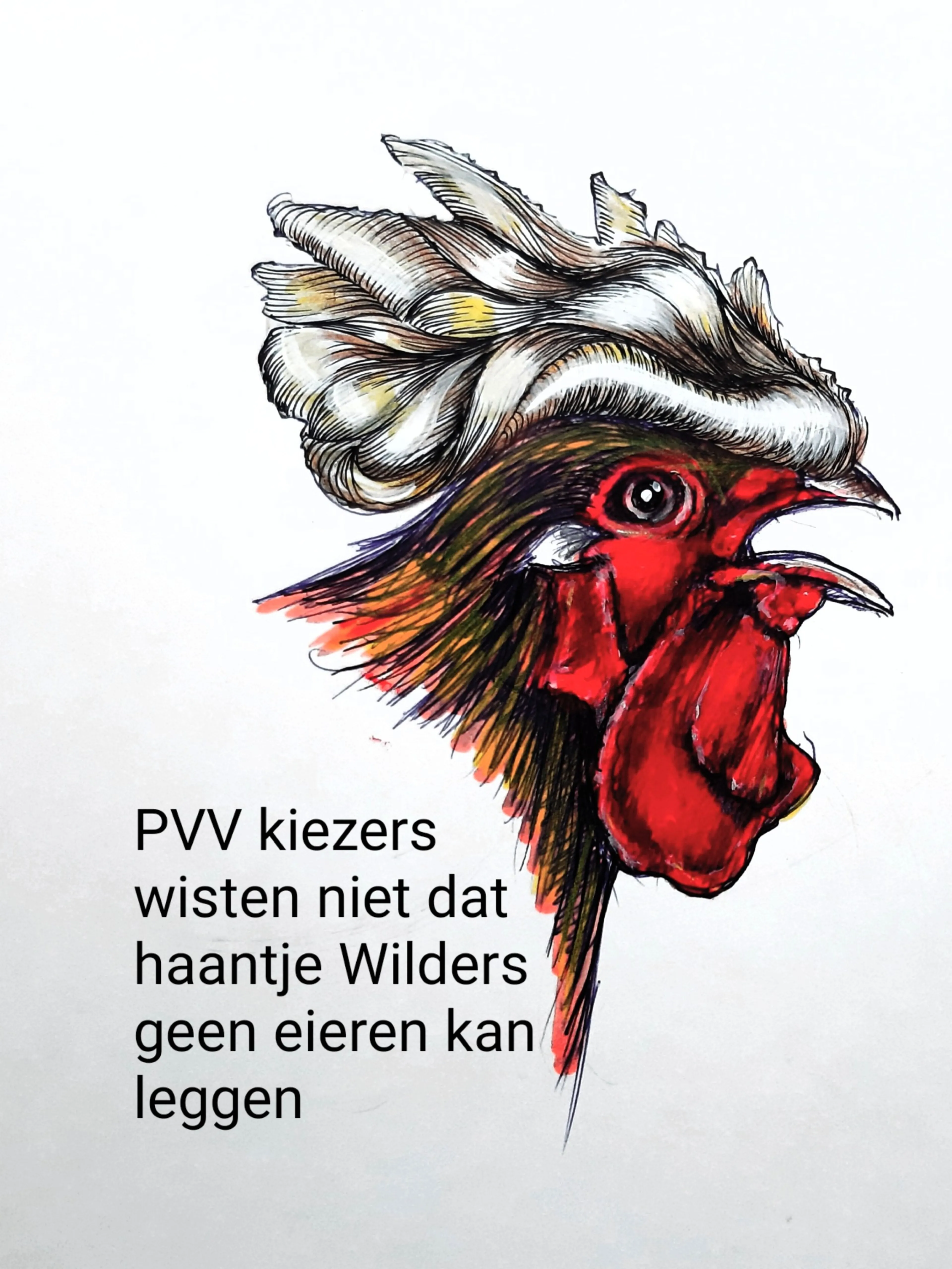 wilders
